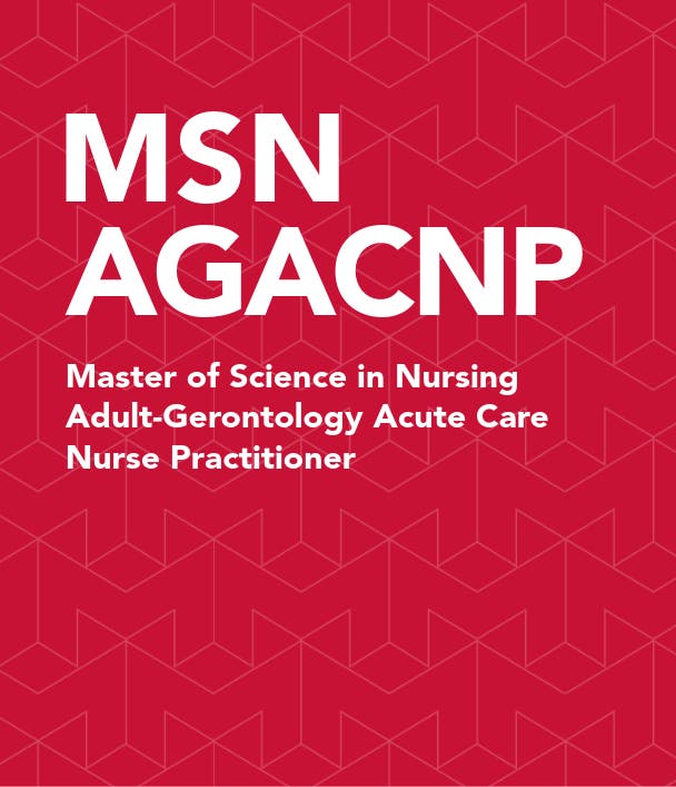 健康・医学 bioengineering nursing School of Nursing and Allied Health | Saint Joseph's University